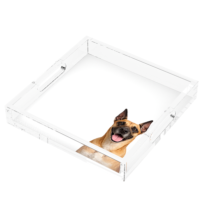 Great Dane Dog Acrylic Decorative Tray, right three-quarter, by Nicolette Mayer