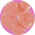 Hibiscus Orchid 16" Round Pebble Placemat Set of 4 - nicolettemayer.com