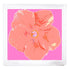 Hibiscus Orchid 18x18 Acrylic Tray - nicolettemayer.com