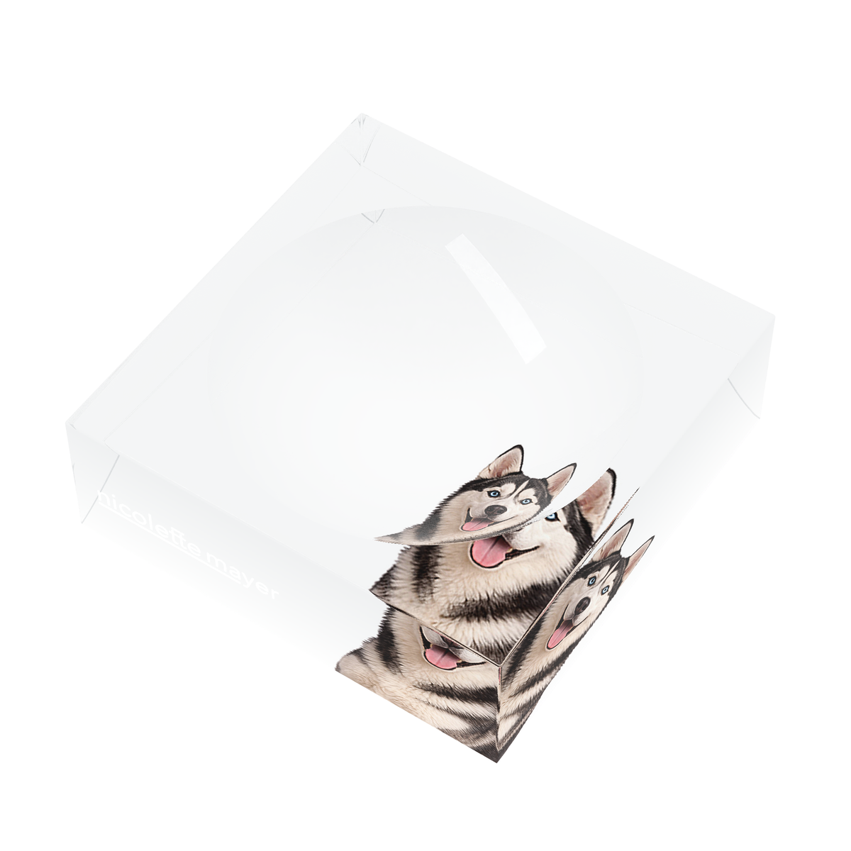 Husky Dog Acrylic Candy Catchall Dish, right three-quarter, by Nicolette Mayer