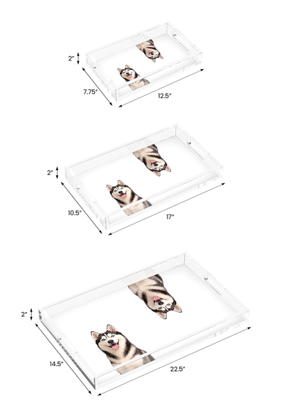 Husky Dog Acrylic Rectangle Tray, all three sizes, by Nicolette Mayer