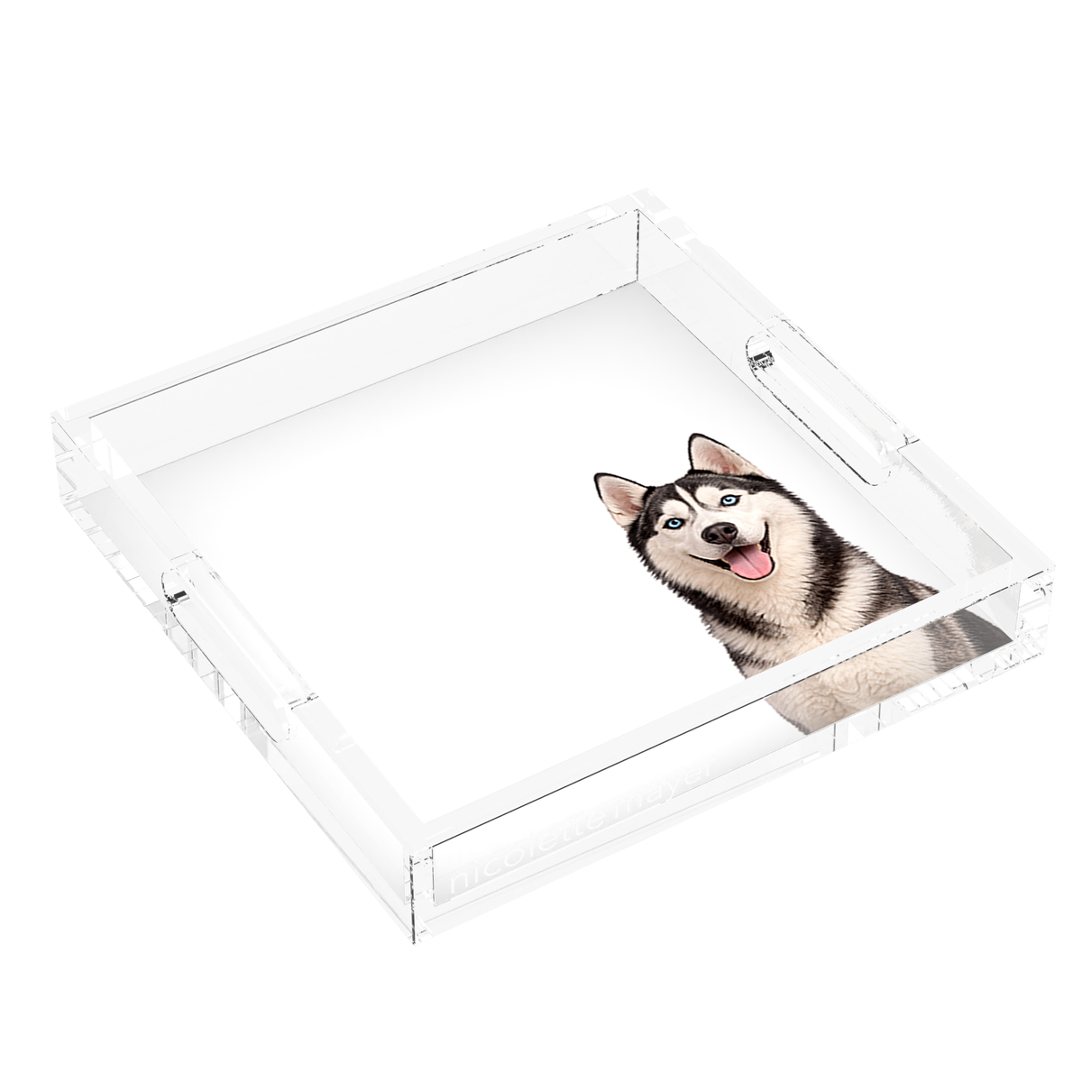Husky Dog Acrylic Decorative Tray, left three-quarter, by Nicolette Mayer
