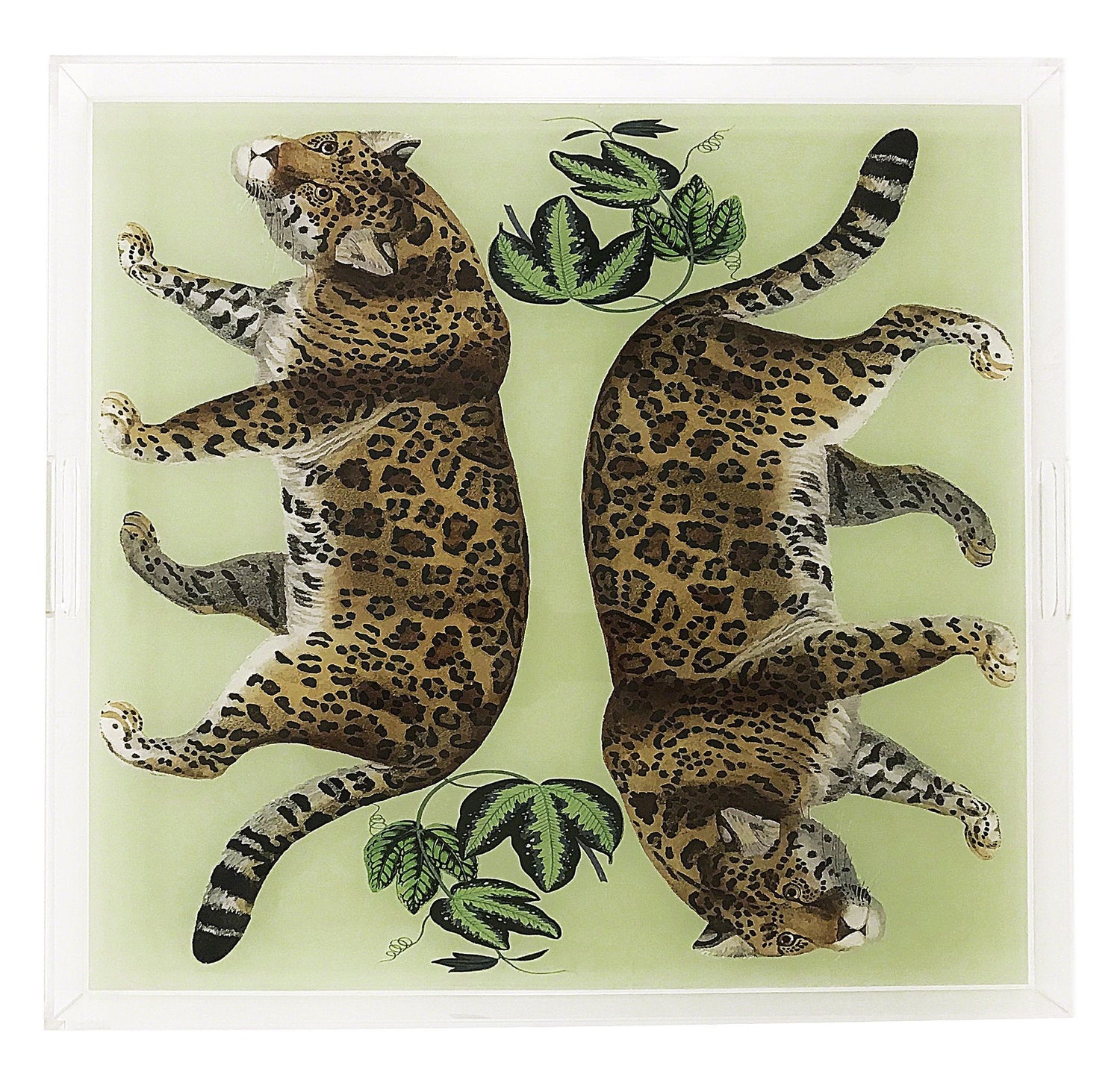 LEOPARD SEEING DOUBLE AVOCADO 18X18&quot; ACRYLIC TRAY - nicolettemayer.com