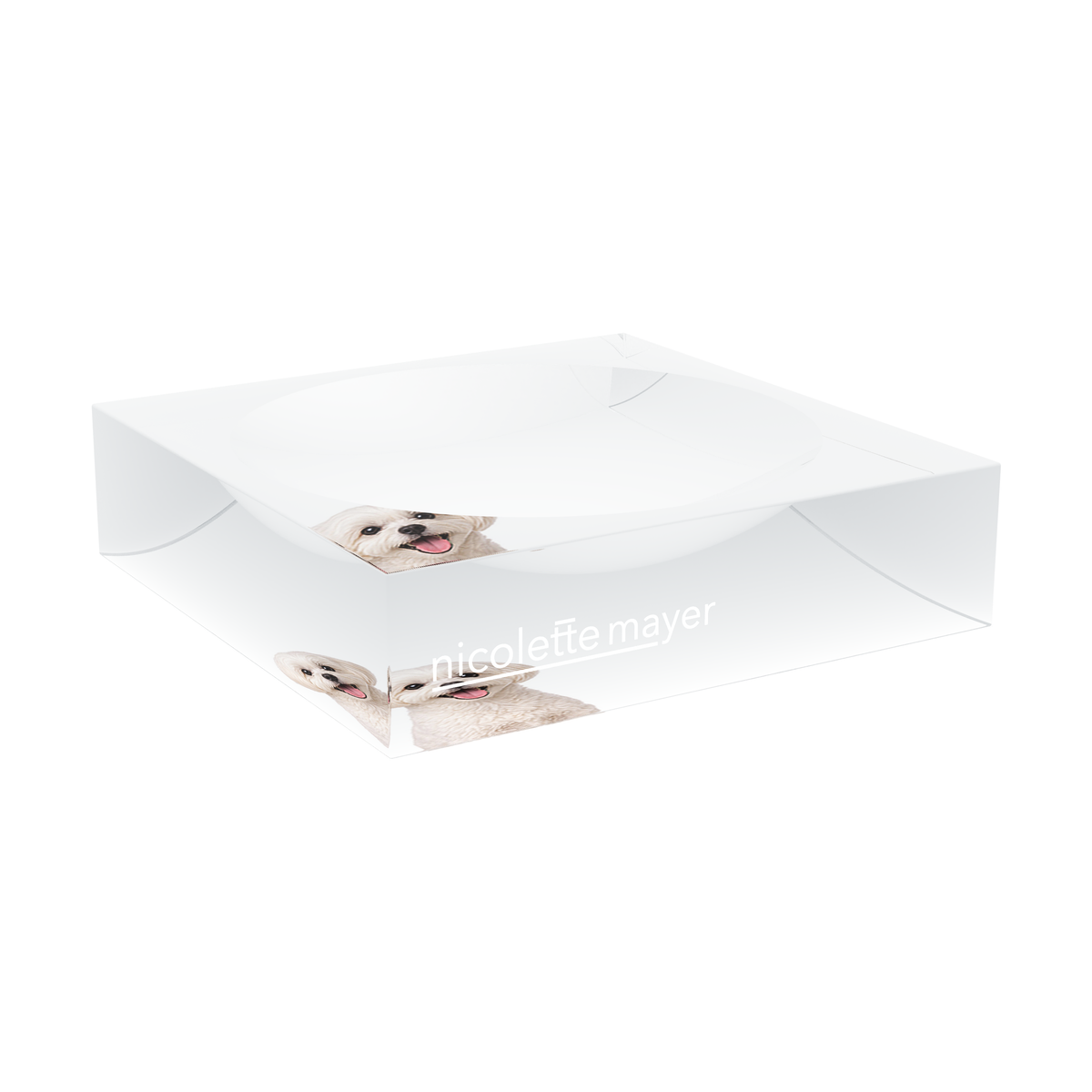 Maltese Dog Acrylic Candy Catchall Dish, large dish at an angle, by Nicolette Mayer