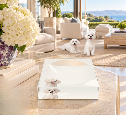 Maltese Dog Acrylic Candy Catchall Dish, on a coffee table, by Nicolette Mayer