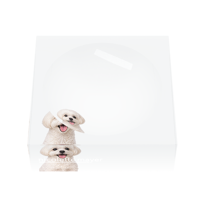 Maltese Dog Acrylic Candy Catchall Dish, front, by Nicolette Mayer