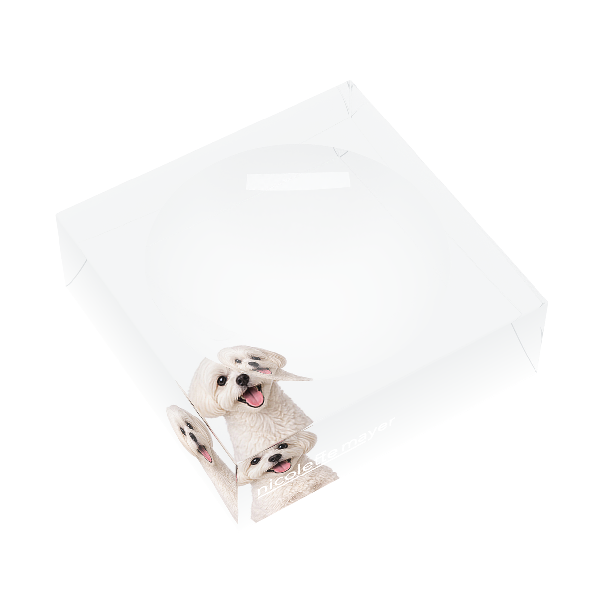 Maltese Dog Acrylic Candy Catchall Dish, left three-quarter, by Nicolette Mayer