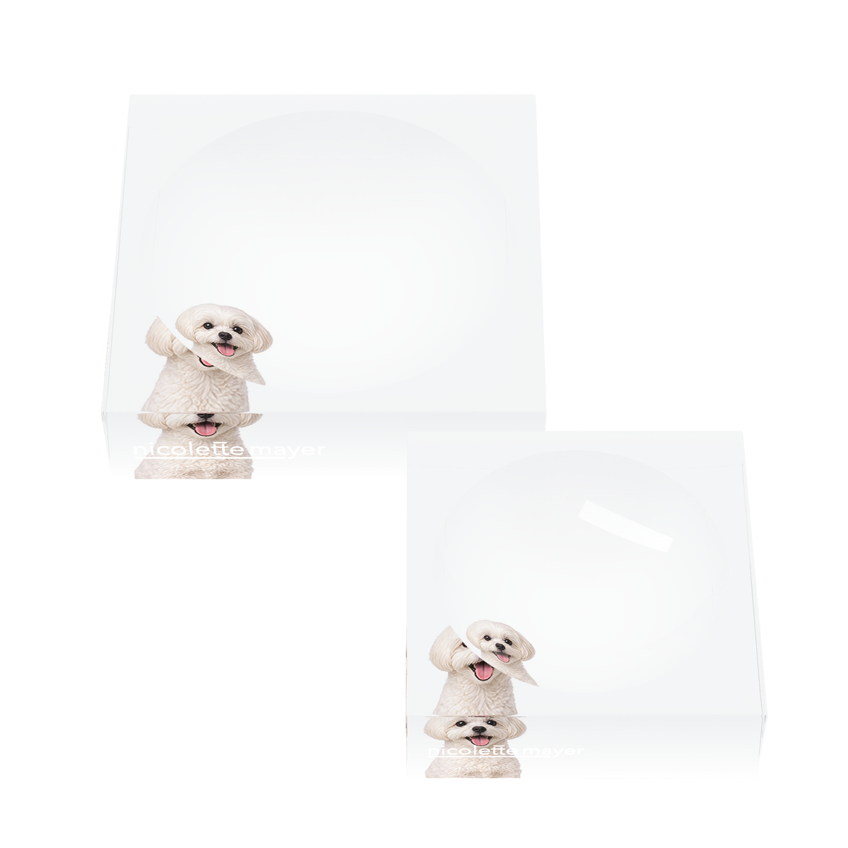 Maltese Dog Acrylic Candy Catchall Dish, set of two, by Nicolette Mayer