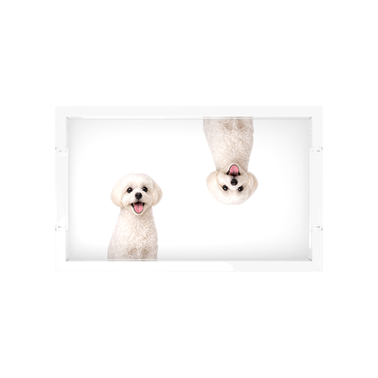 Maltese Dog Acrylic Rectangle Tray, overhead, by Nicolette Mayer