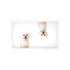 Maltese Dog Acrylic Rectangle Tray, overhead, by Nicolette Mayer