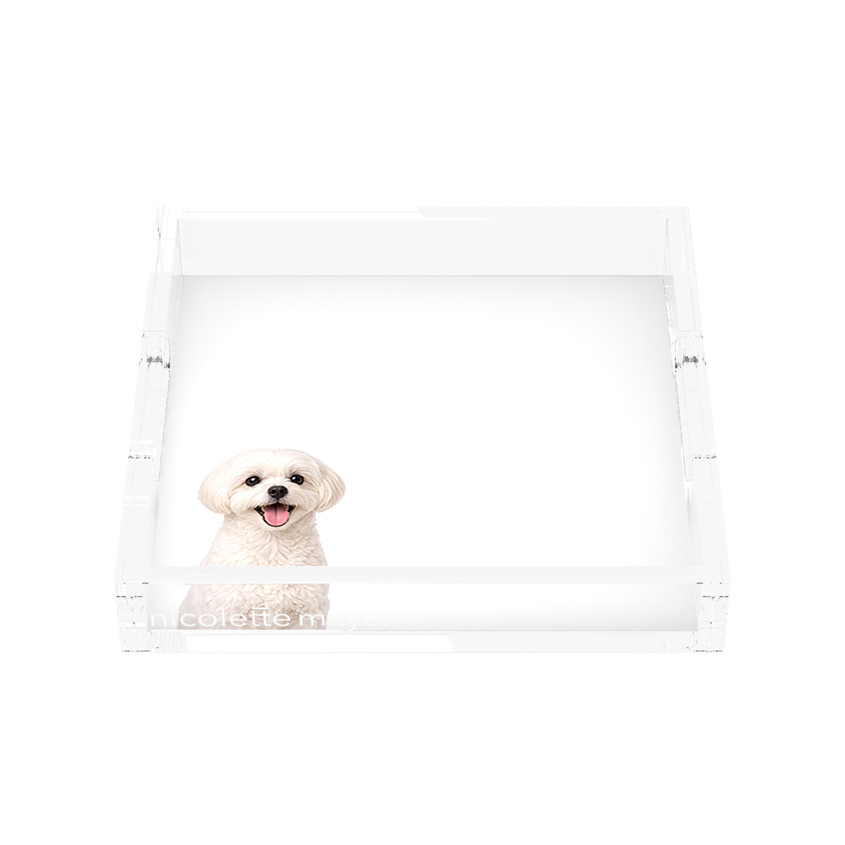 Maltese Dog Acrylic Decorative Tray, front, by Nicolette Mayer