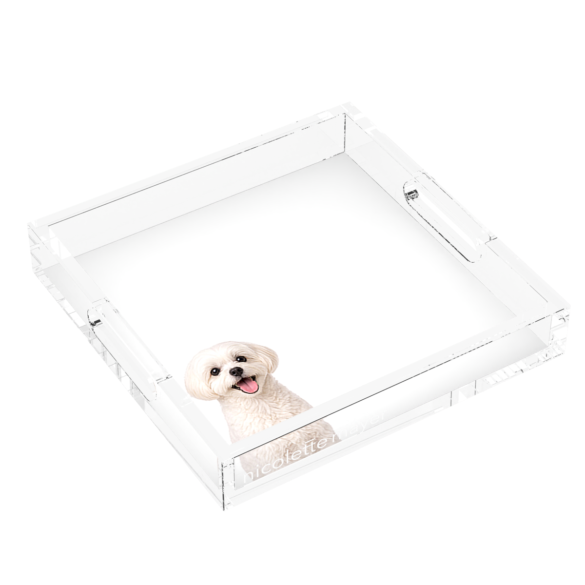 Maltese Dog Acrylic Decorative Tray, left three-quarter, by Nicolette Mayer