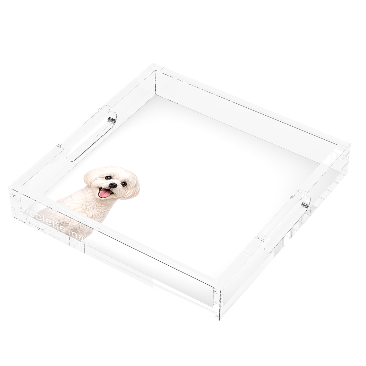Maltese Dog Acrylic Decorative Tray, right three-quarter, by Nicolette Mayer
