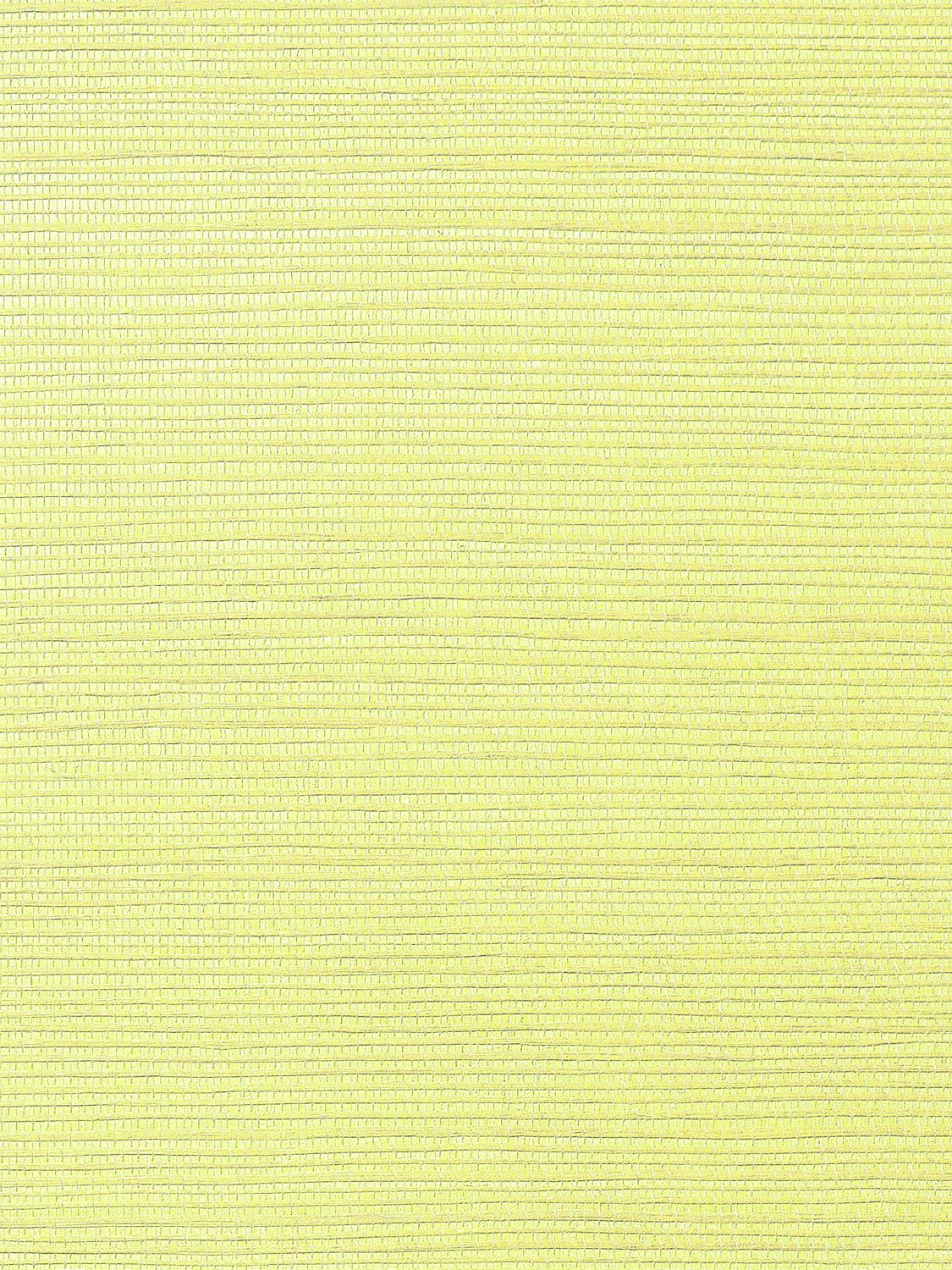 Metallica Grasscloth Celery, Per Yard - nicolettemayer.com