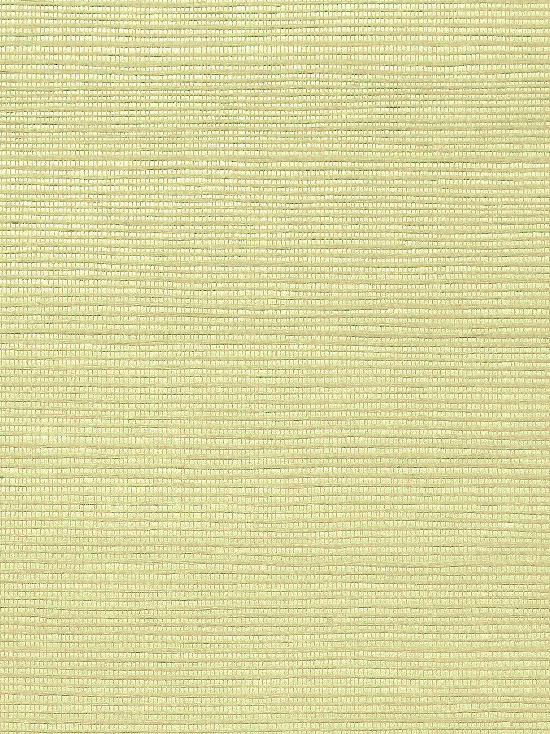 Metallica Grasscloth Grass Cloth, Per Yard - nicolettemayer.com