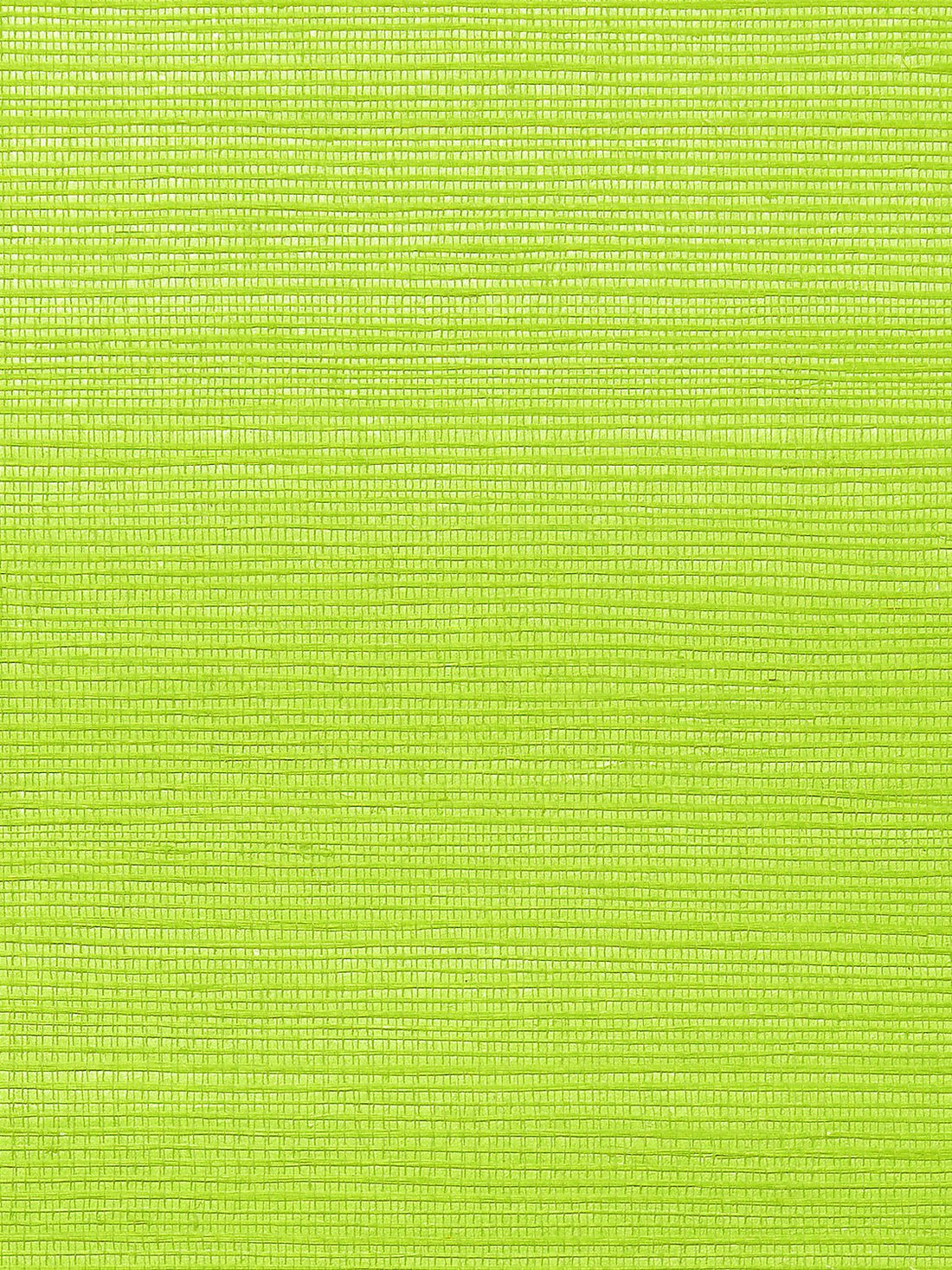 Metallica Grasscloth Kiwi, Per Yard - nicolettemayer.com