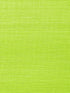 Metallica Grasscloth Kiwi, Per Yard - nicolettemayer.com