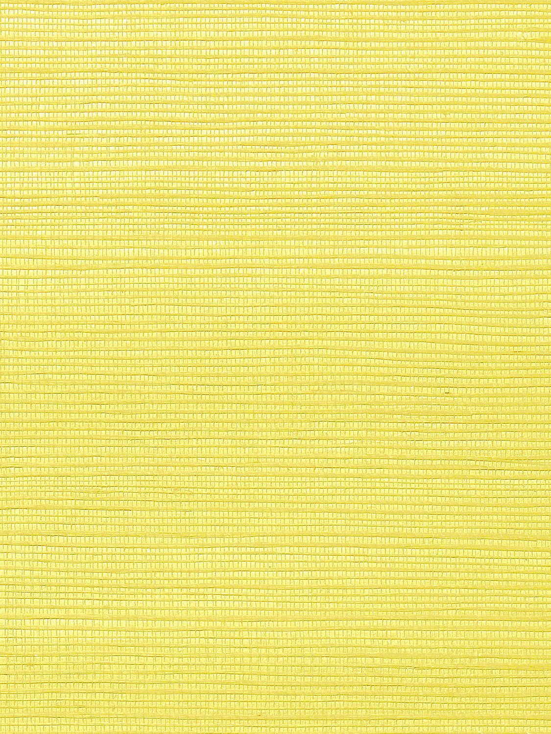 Metallica Grasscloth Lemon, Per Yard - nicolettemayer.com