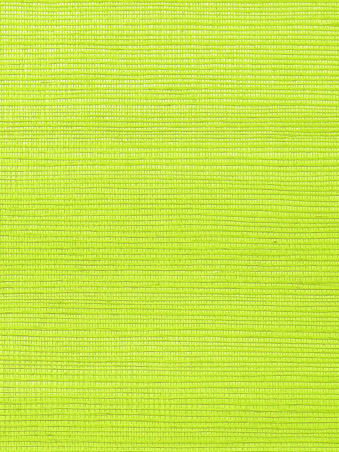 Metallica Grasscloth Lime, Per Yard - nicolettemayer.com