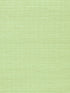 Metallica Grasscloth Mint Green, Per Yard - nicolettemayer.com