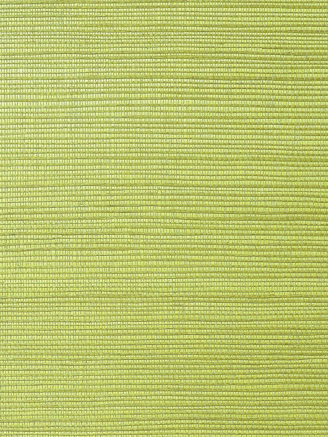 Metallica Grasscloth Moss Green, Per Yard - nicolettemayer.com