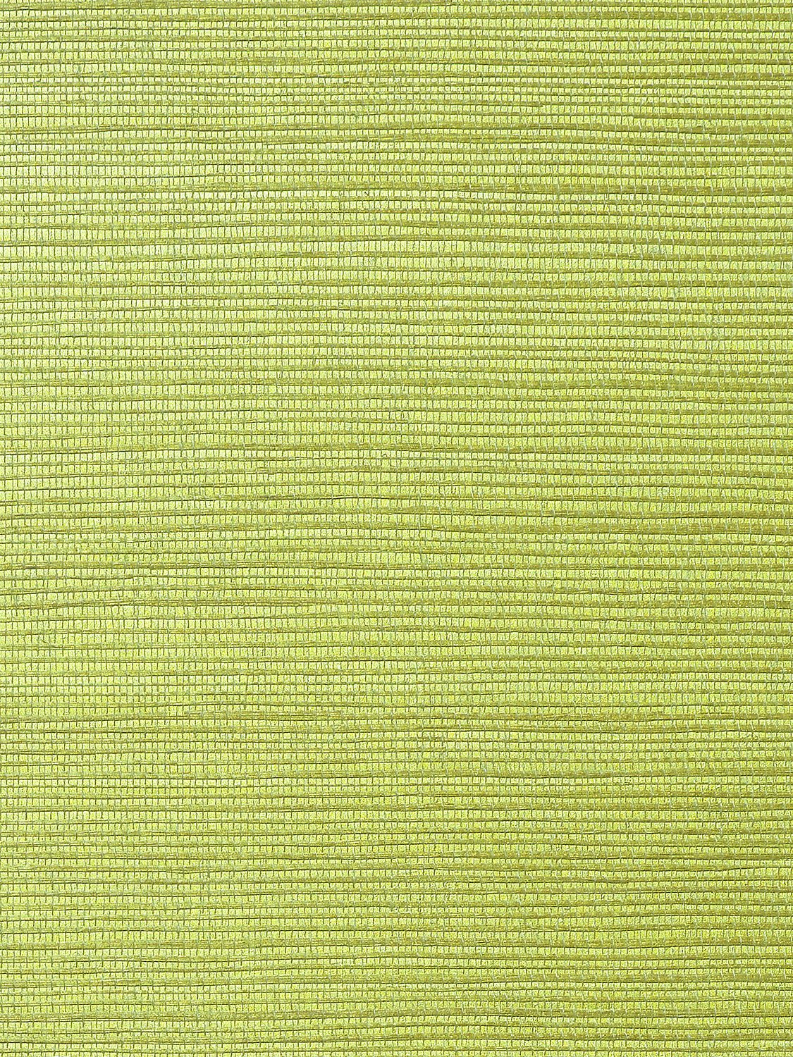 Metallica Grasscloth Moss Green, Per Yard - nicolettemayer.com