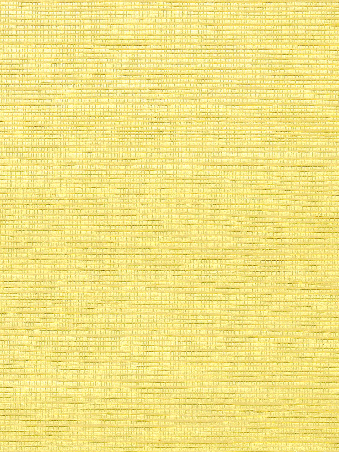 Metallica Grasscloth Ochre Yellow, Per Yard - nicolettemayer.com