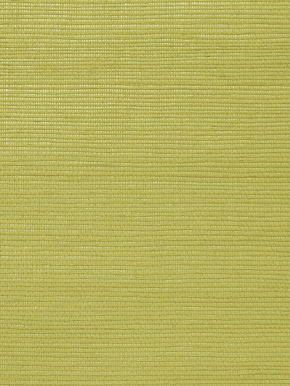 Metallica Grasscloth Olive Green Neutral, Per Yard - nicolettemayer.com