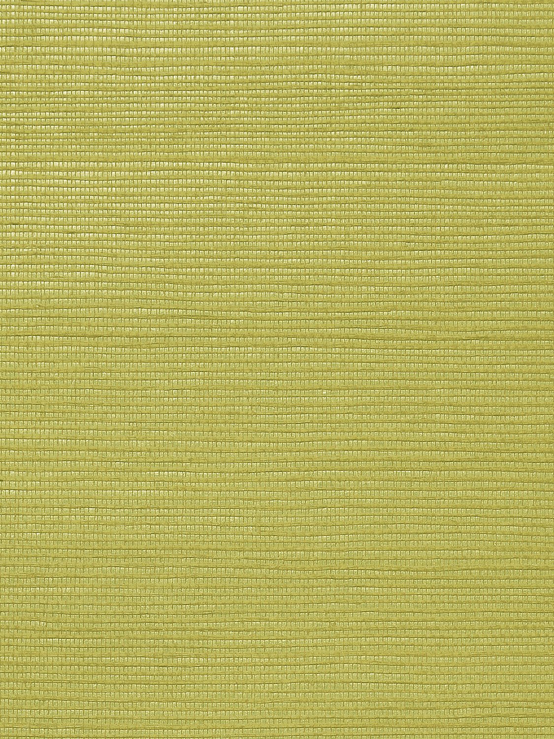 Metallica Grasscloth Olive Green Neutral, Per Yard - nicolettemayer.com