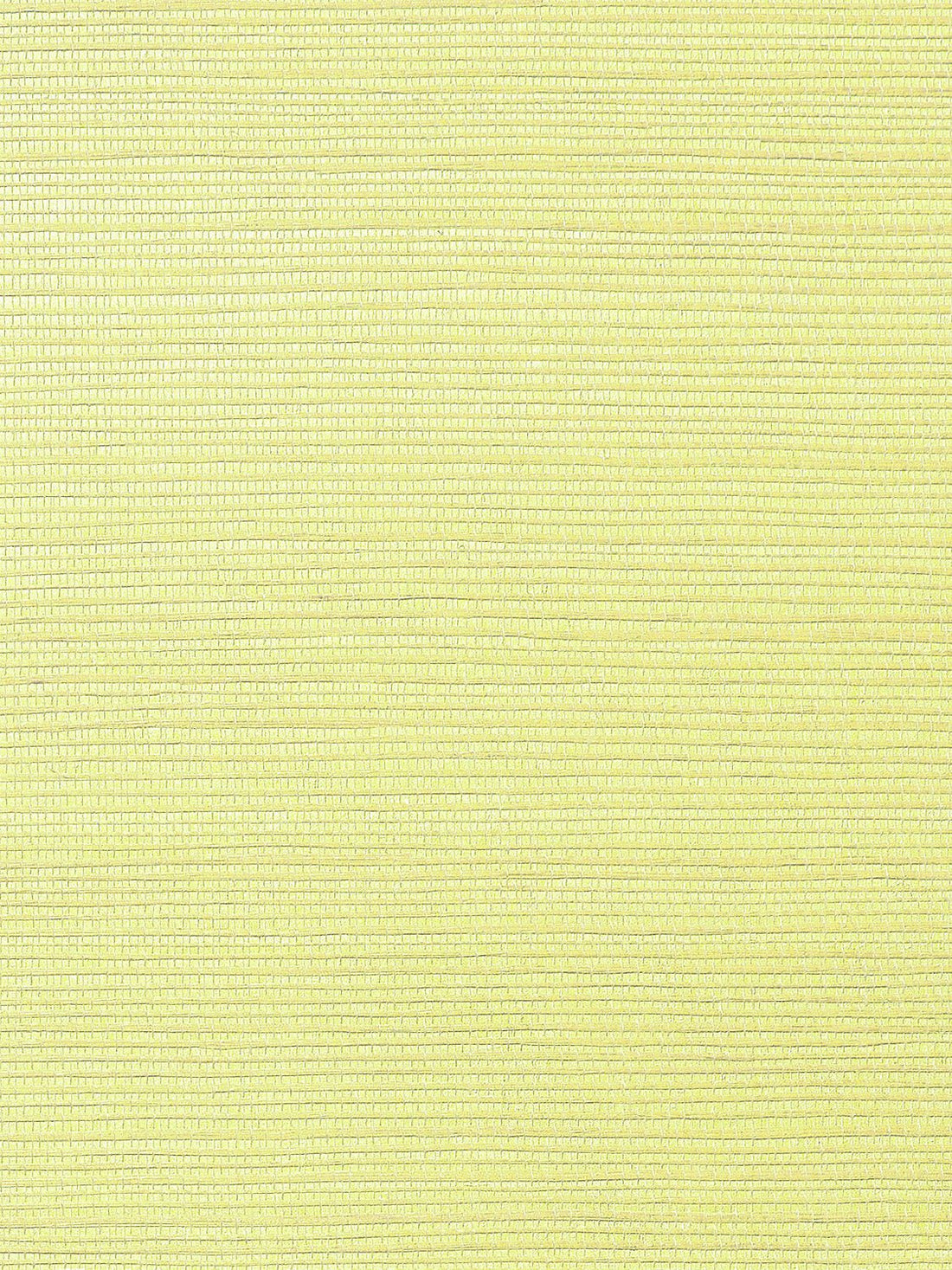 Metallica Grasscloth Pale Yellow, Per Yard - nicolettemayer.com