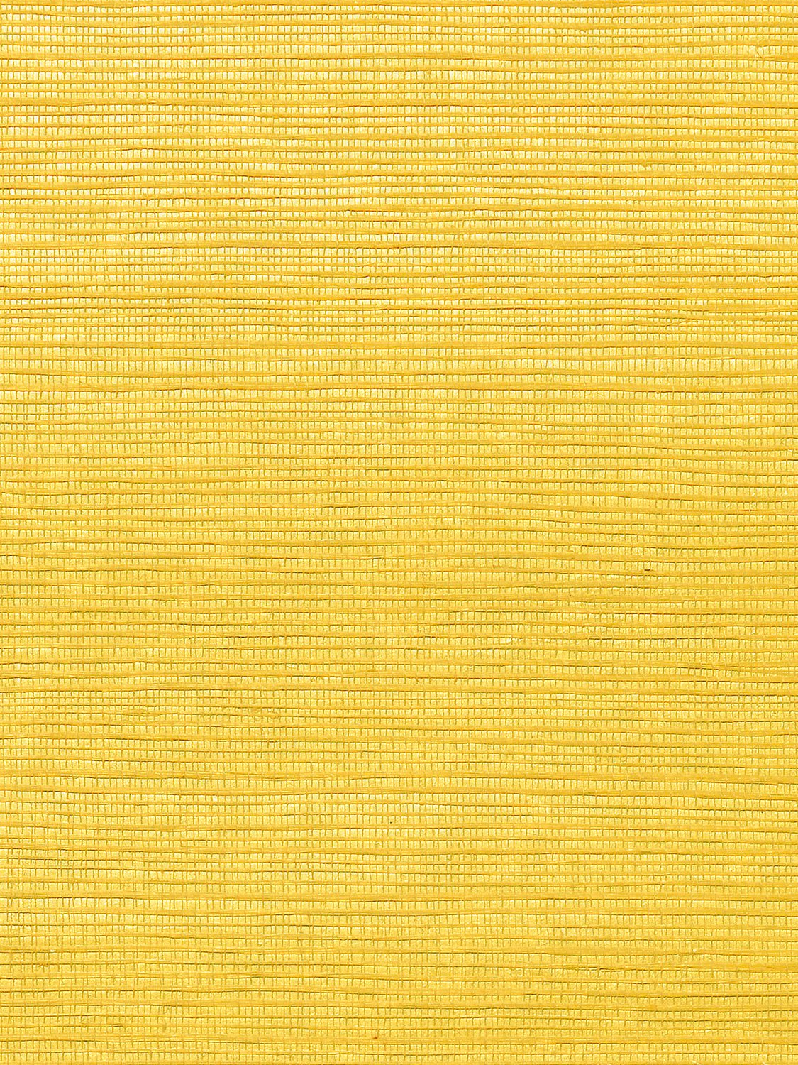 Metallica Grasscloth Papaya, Per Yard - nicolettemayer.com