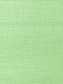 Metallica Grasscloth Peridot, Per Yard - nicolettemayer.com