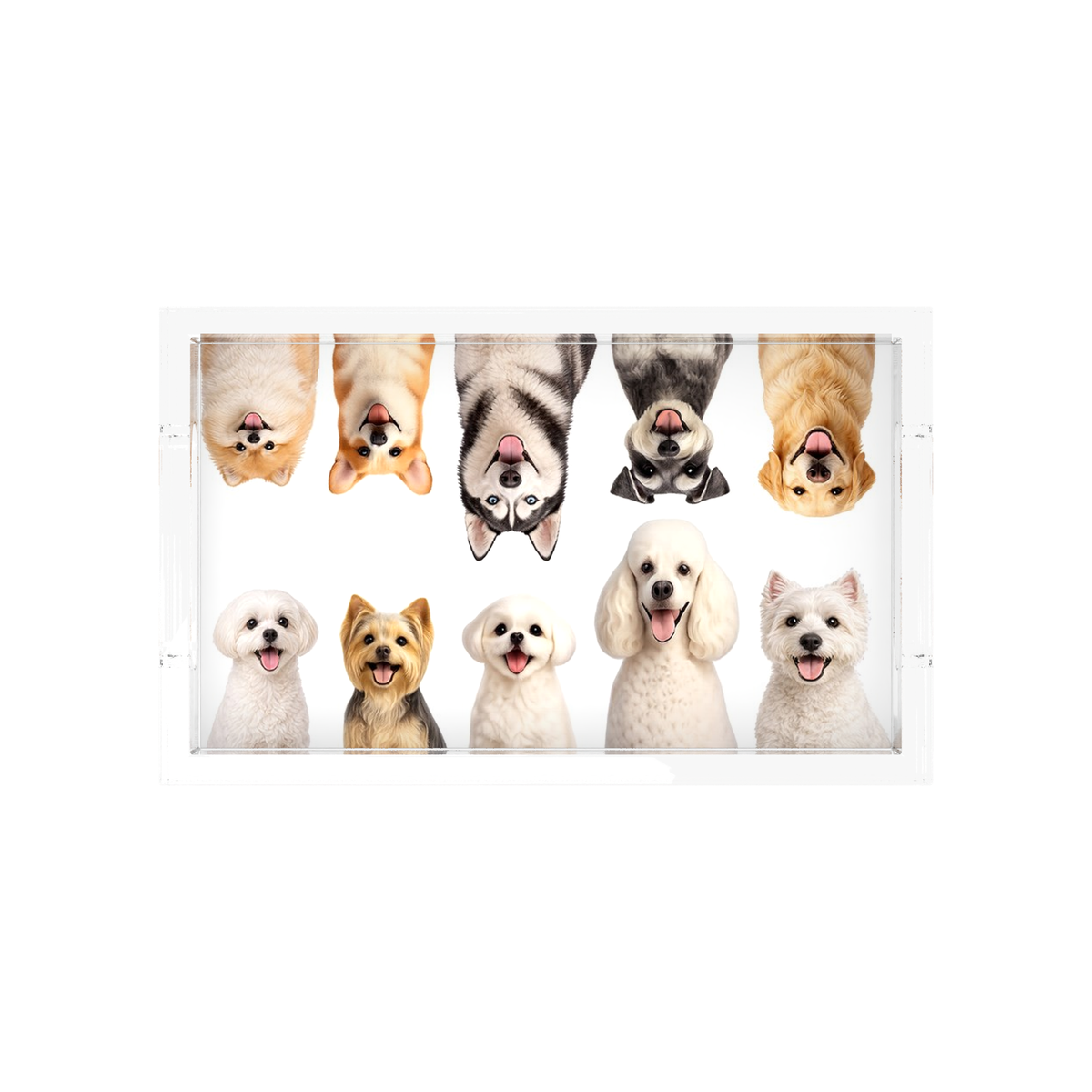 Must Love Dogs One Acrylic Rectangle Tray, overhead view, by Nicolette Mayer