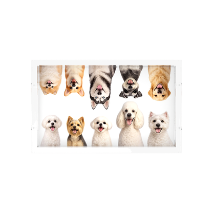 Must Love Dogs One Acrylic Rectangle Tray, overhead view, by Nicolette Mayer