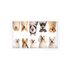 Must Love Dogs One Acrylic Rectangle Tray, overhead view, by Nicolette Mayer
