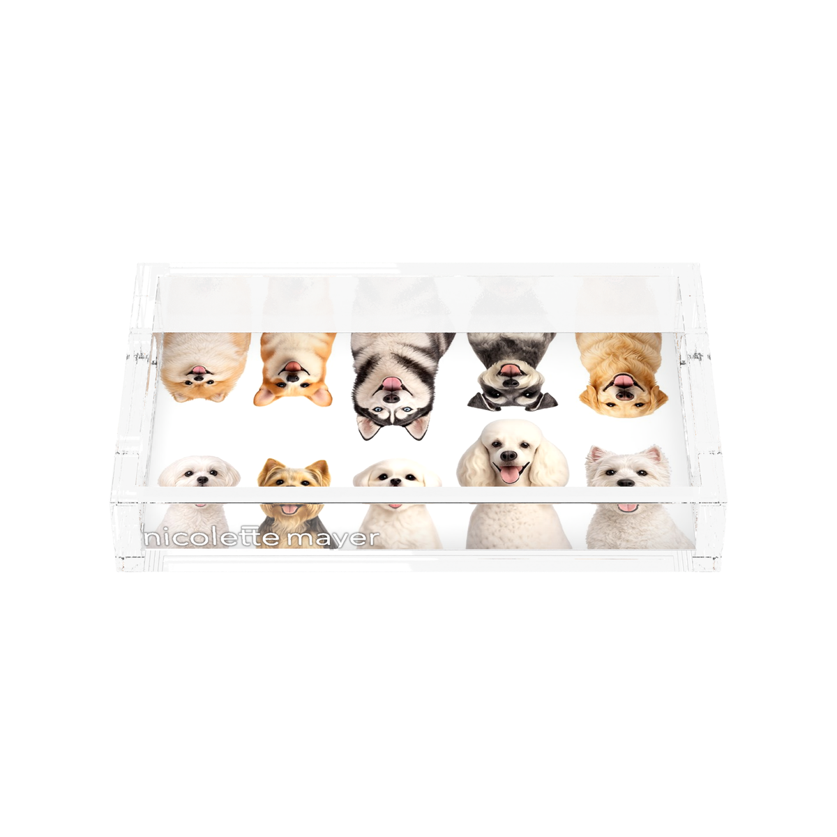 Must Love Dogs One Acrylic Rectangle Tray, front view, by Nicolette Mayer