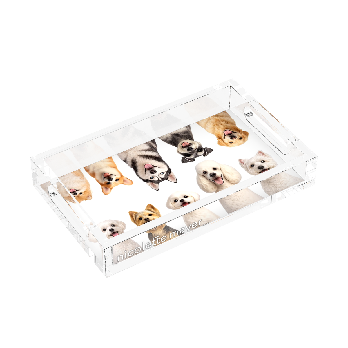 Must Love Dogs One Acrylic Rectangle Tray, left side view, by Nicolette Mayer