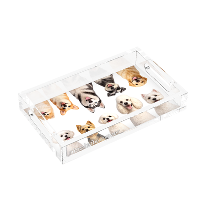 Must Love Dogs One Acrylic Rectangle Tray, left side view, by Nicolette Mayer