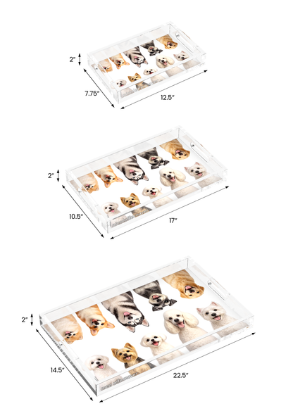 Must Love Dogs One Acrylic Rectangle Tray, size information, by Nicolette Mayer