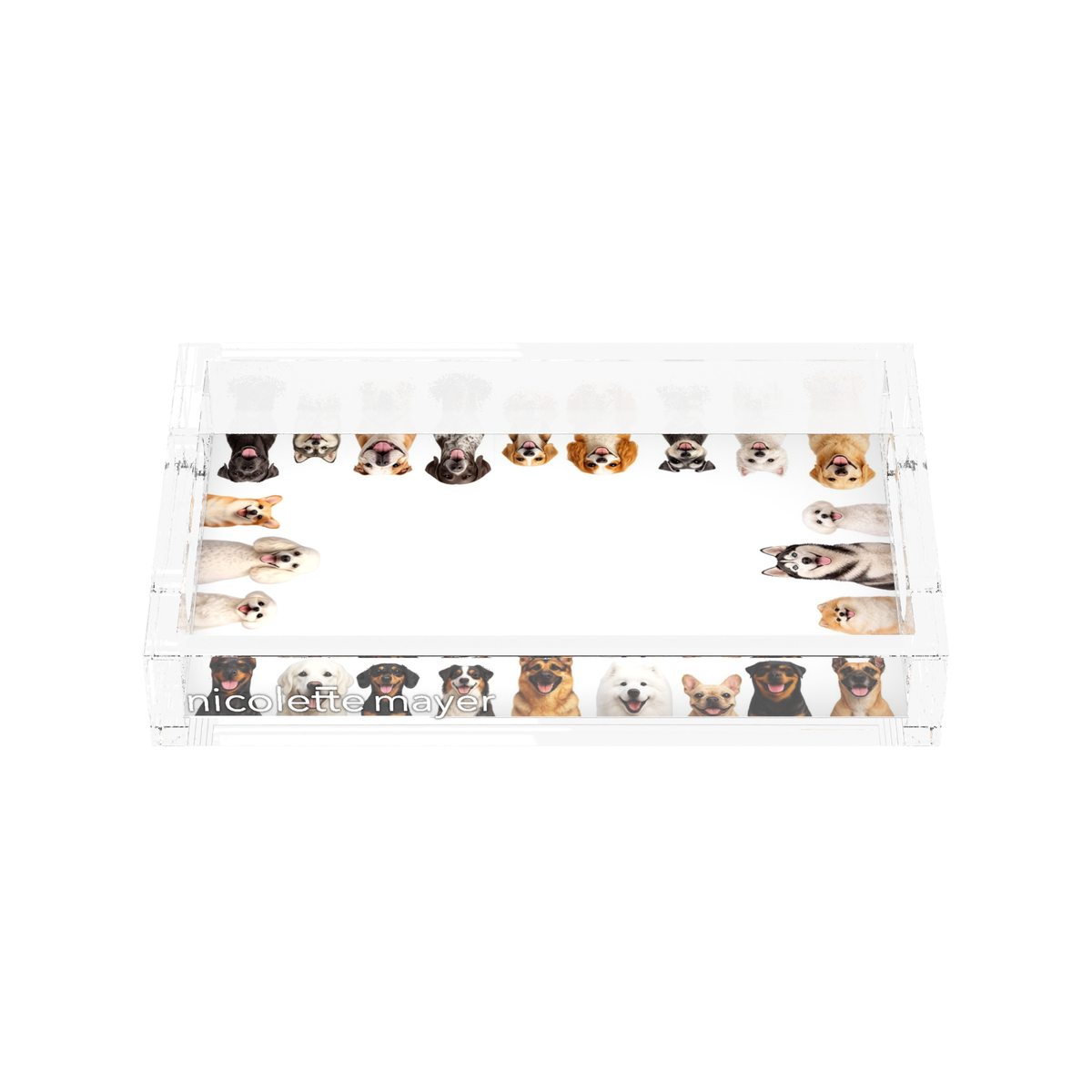 Must Love Dogs Two Acrylic Rectangle Tray, front view, by Nicolette Mayer
