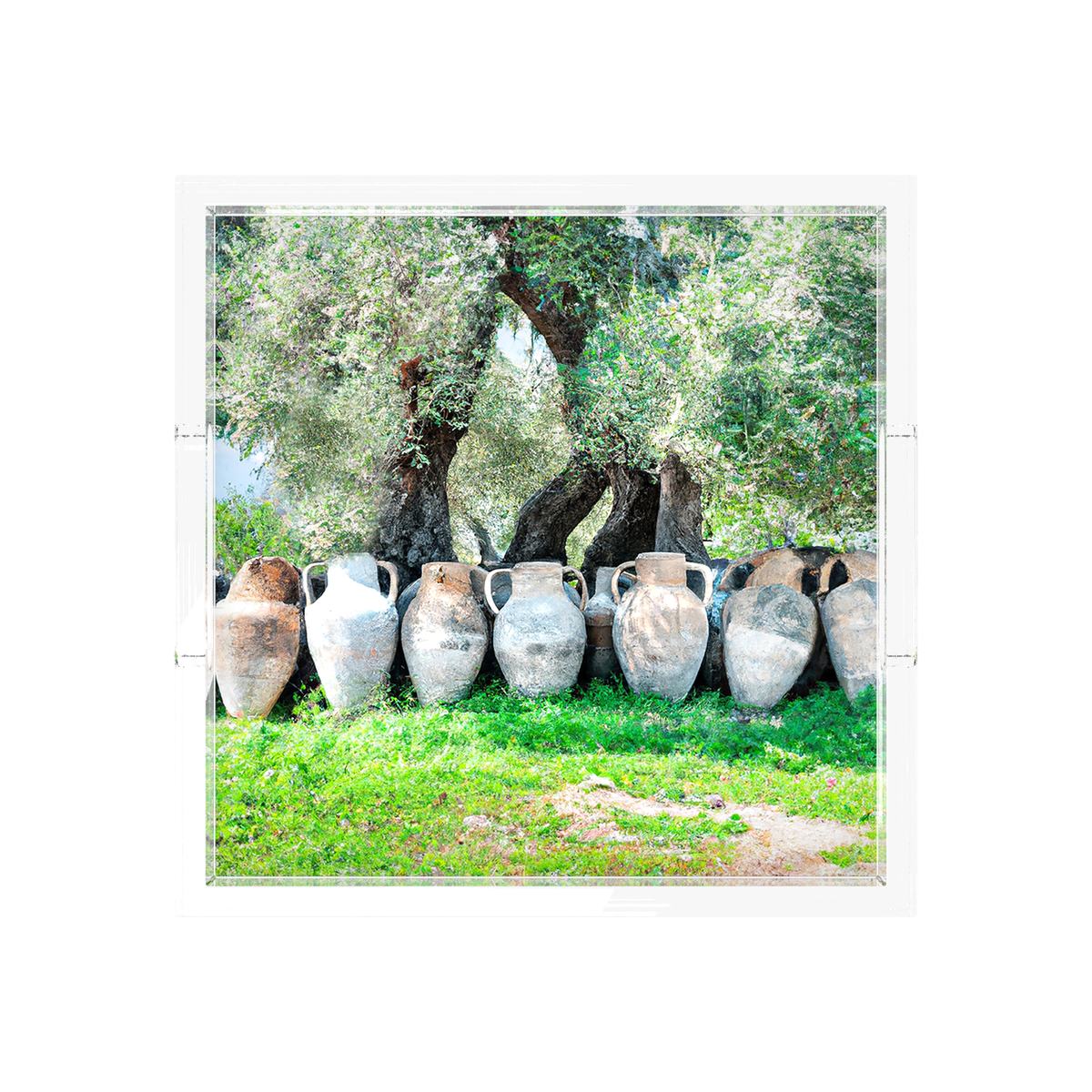 Olive Groves Acrylic Decorative Tray, overhead, by Nicolette Mayer