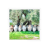 Olive Groves Acrylic Decorative Tray, overhead, by Nicolette Mayer