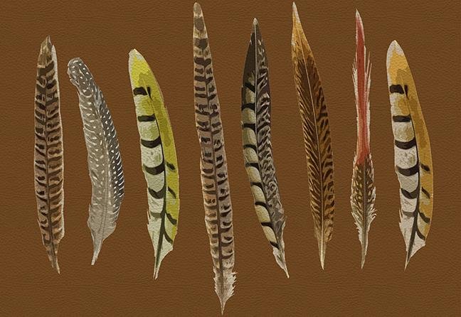 Pheasant Feathers Brown 17.5 &quot;x12&quot; Rectangle Pebble Placemats, Set of 4 - nicolettemayer.com