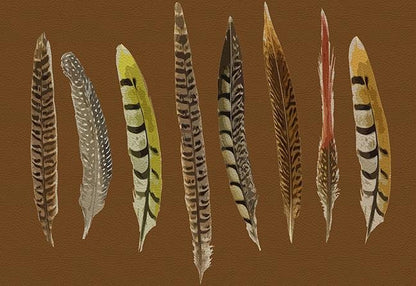Pheasant Feathers Brown 17.5 &quot;x12&quot; Rectangle Pebble Placemats, Set of 4 - nicolettemayer.com