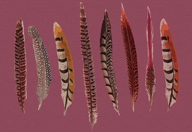 Pheasant Feathers Mauve 17.5 &quot;x12&quot; Rectangle Pebble Placemats, Set of 4 - nicolettemayer.com
