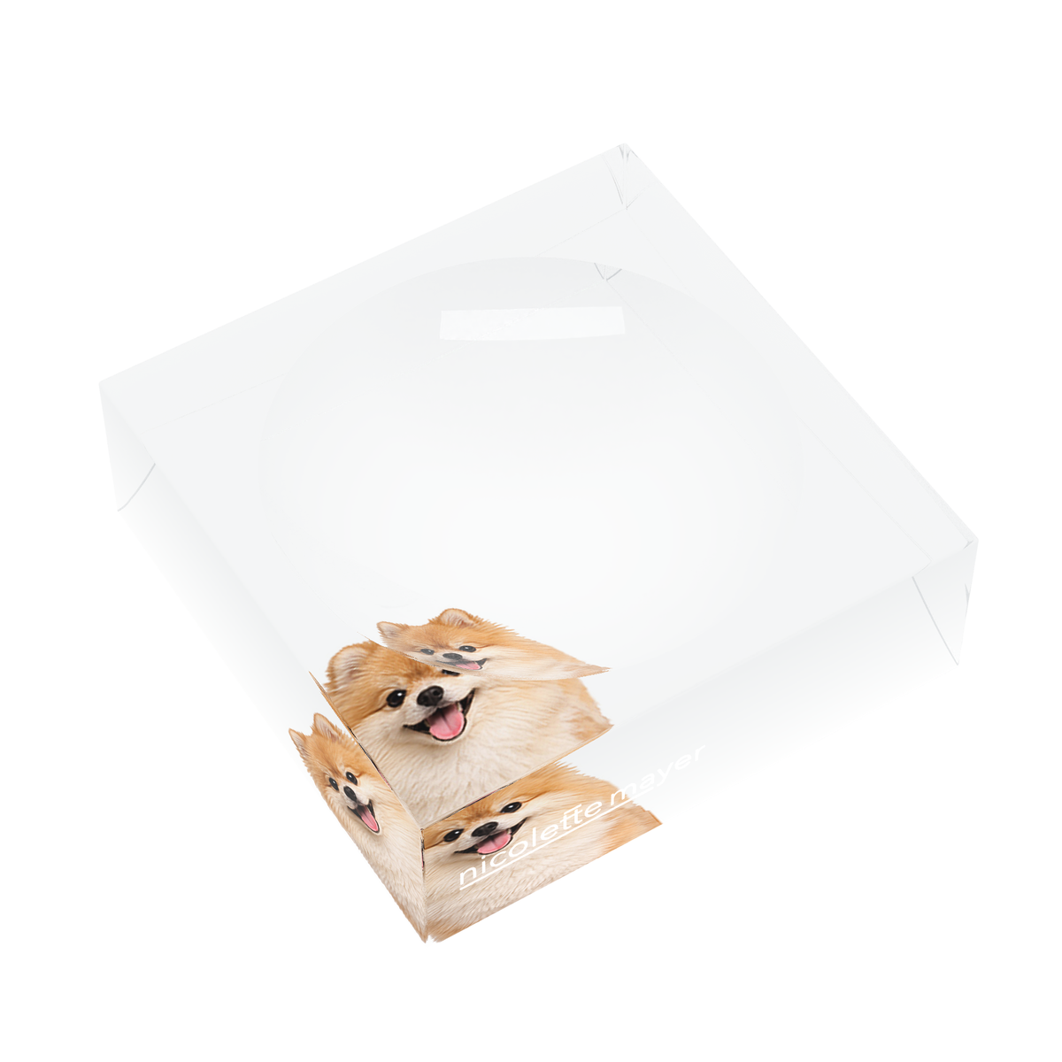 Pomeranian Dog Acrylic Candy Catchall Dish, left three-quarter, by Nicolette Mayer
