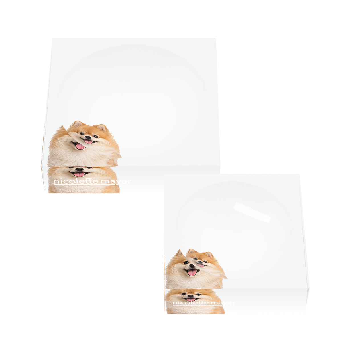 Pomeranian Dog Acrylic Candy Catchall Dish, set of two, by Nicolette Mayer