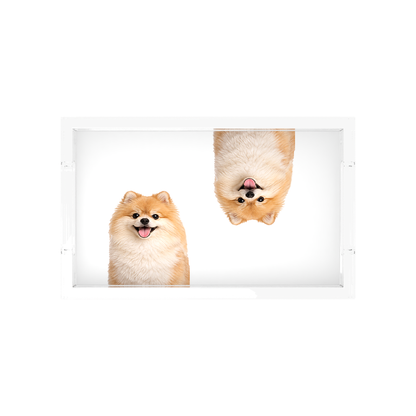 Pomeranian Dog Acrylic Rectangle Tray, overhead, by Nicolette Mayer