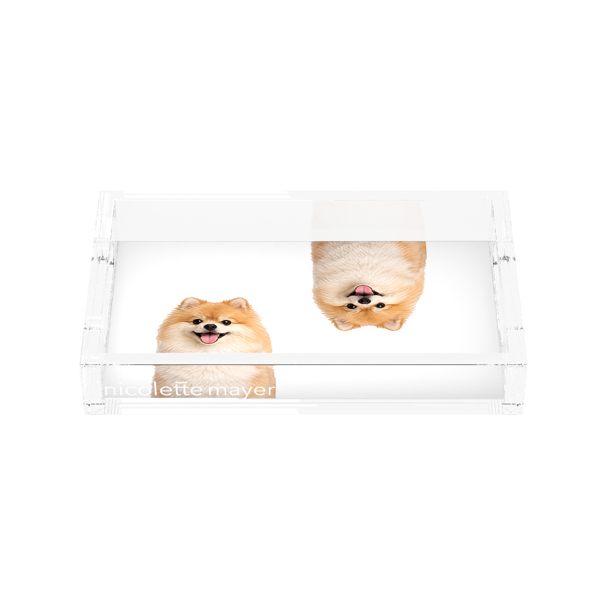 Pomeranian Dog Acrylic Rectangle Tray, front, by Nicolette Mayer