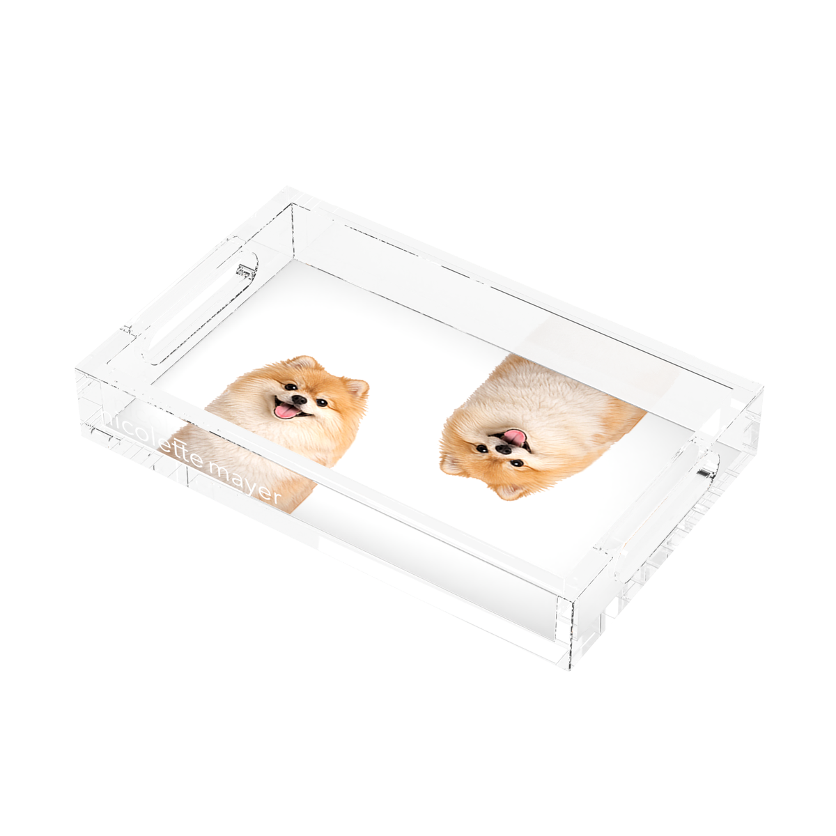 Pomeranian Dog Acrylic Rectangle Tray, right three-quarter, by Nicolette Mayer